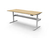 Halo+ Single Sided Desk